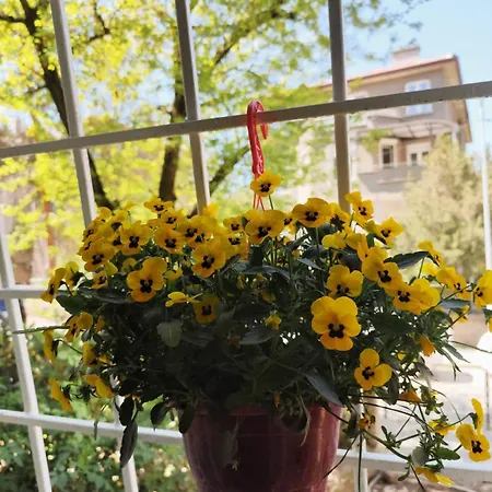 Belle Epoque-sofia-free Parking Apartman *