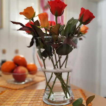 Daire Belle Epoque-sofia-free Parking Sofya